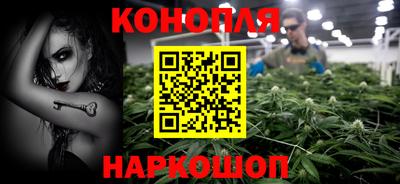 индика Малгобек