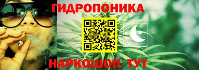 индика Малгобек