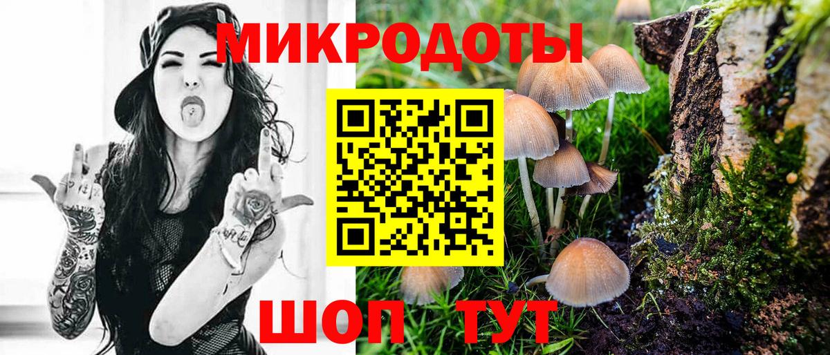 Иркутск  Галлюциногенные грибы Cubensis  Вход с VPN 